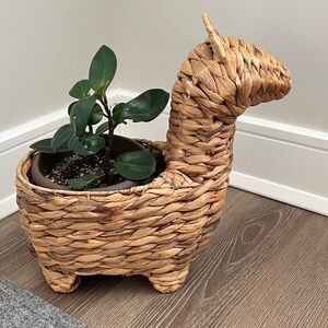 Llama 🦙 Wicker Plant Basket NWT